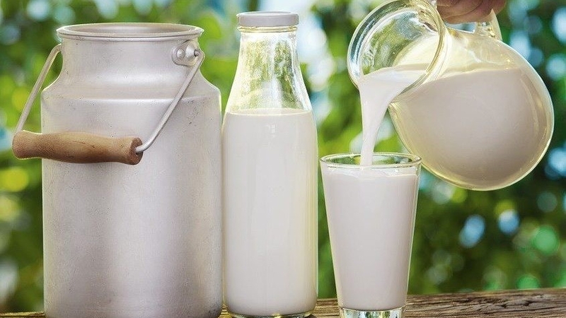 an-gi-de-tieu-hach-che-do-dinh-duong-cho-nguoi-bi-noi-hach 3