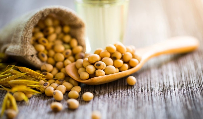 Ăn gì để trắng da toàn thân? Bí quyết dưỡng từ thiên nhiên 2