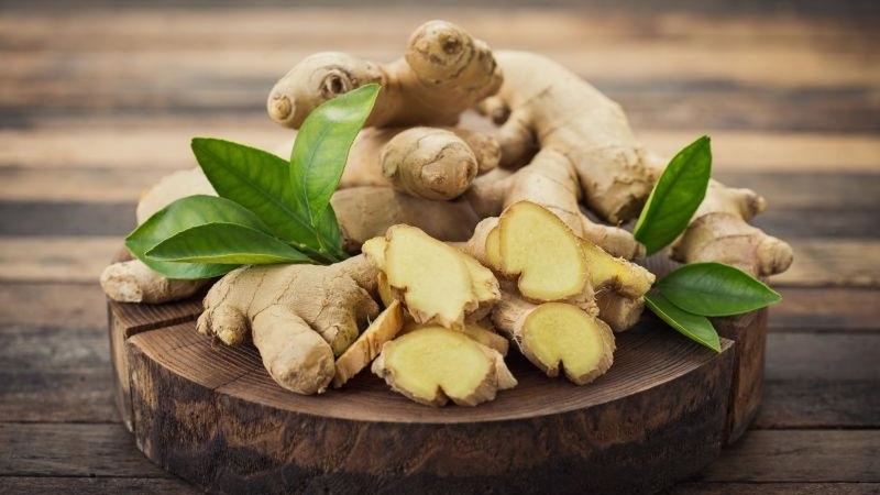 an-gi-tot-cho-giong-hat-nhung-thuc-pham-co-loi-giup-giong-hat-tot 2