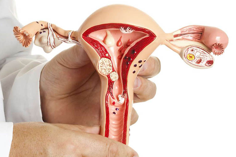 Ăn gì tốt cho niêm mạc để chuyển phôi, giúp phôi làm tổ trong tử cung? 1