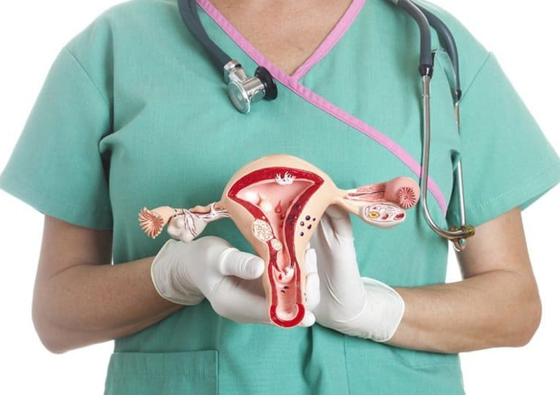 Ăn gì tốt cho tử cung, giúp tăng cường sức khỏe sinh sản cho phụ nữ? 1