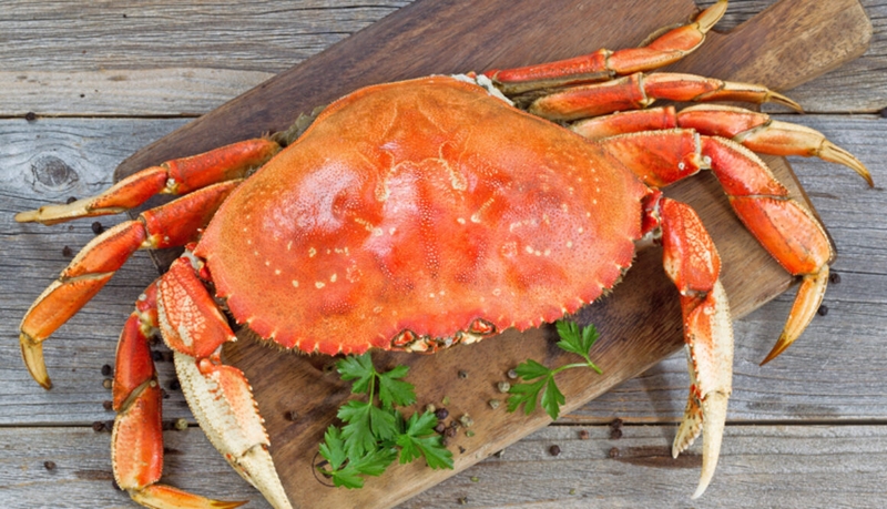 Ăn hải sản có béo không? Những loại hải sản nào hạn chế tăng cân? 3