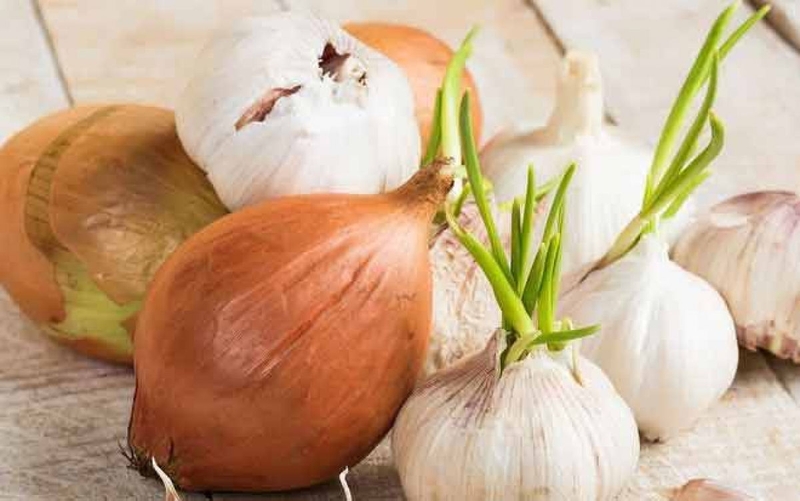 Ăn hành tỏi mọc mầm có sao không? 2