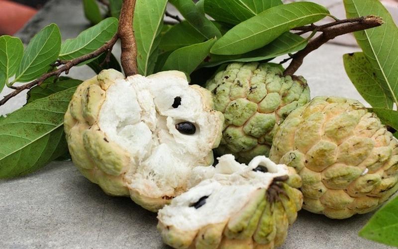 Ăn hạt na có sao không 3