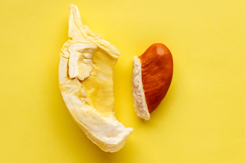 Ăn hạt sầu riêng có tác dụng gì 3