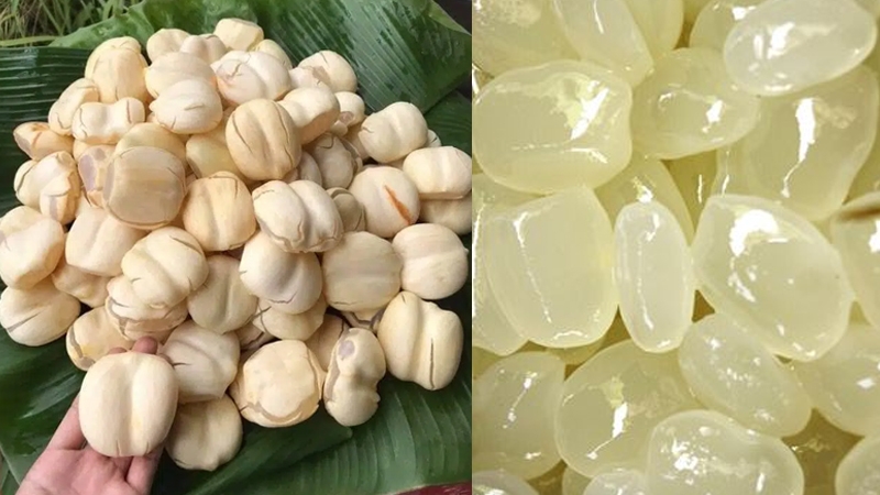 Ăn hạt thốt nốt có tốt không và bật mí những cách chế biến hạt thốt nốt 1