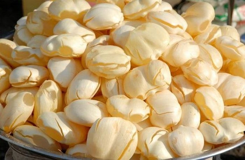 Ăn hạt thốt nốt có tốt không và bật mí0 những cách chế biến hạt thốt nốt 2