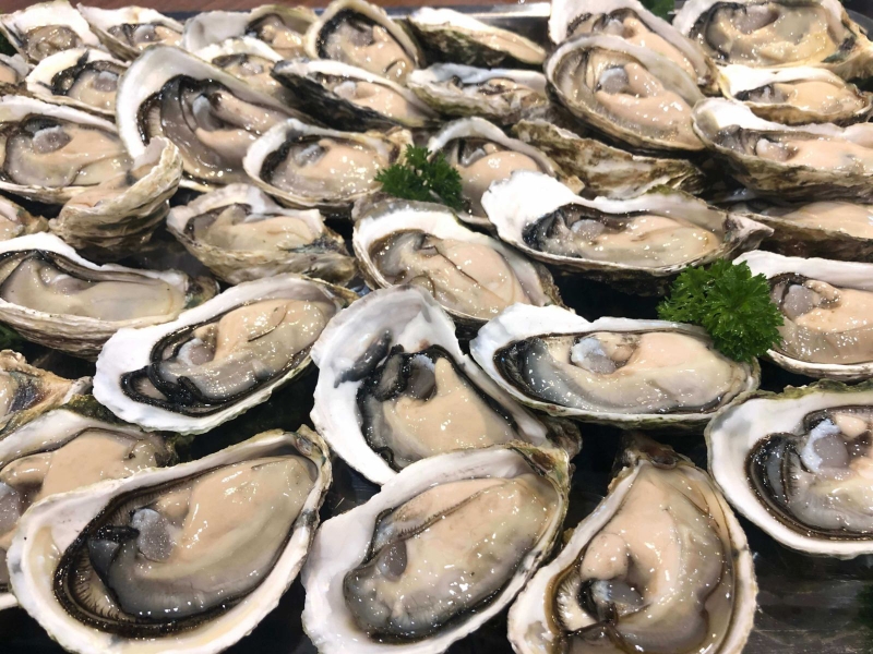 Ăn hàu sống có tác dụng gì đối với sức khỏe? 2