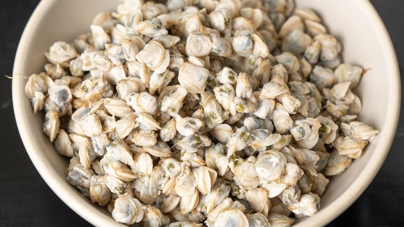 Ăn hến có tốt không? Giá trị dinh dưỡng của hến 1