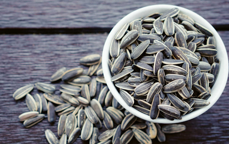 Ăn hạt hướng dương quá nhiều có gây cho bạn teo não hay không?