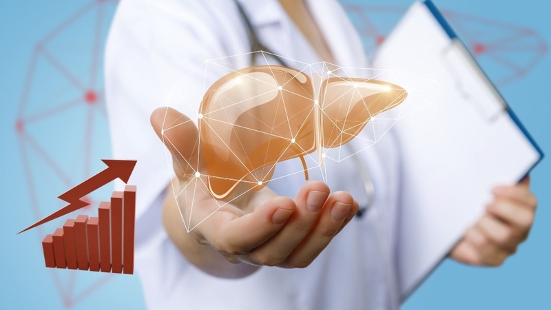 Ăn khổ qua đúng cách còn có lợi cho gan ở người khỏe mạnh