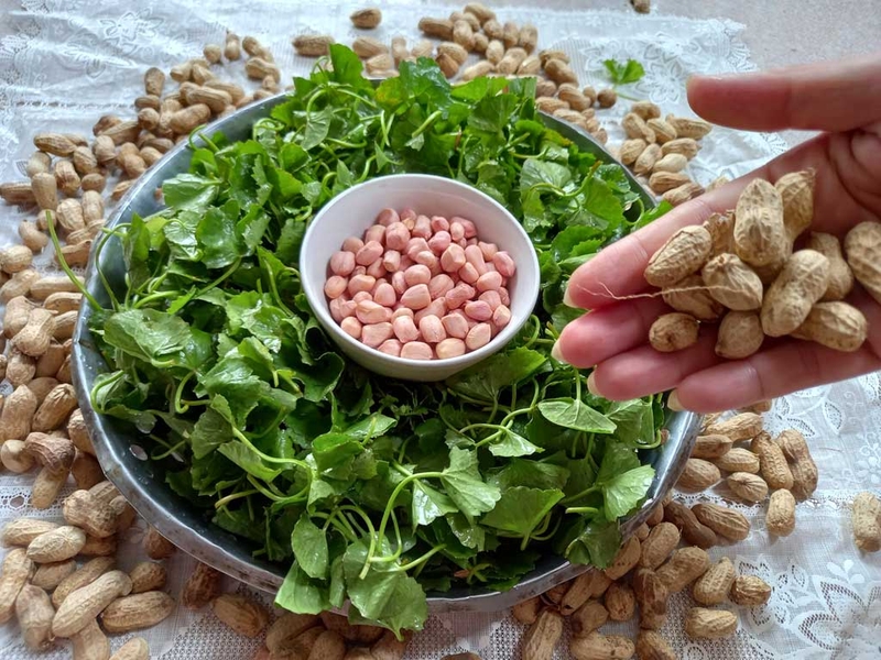 ăn lạc luộc có béo không 1