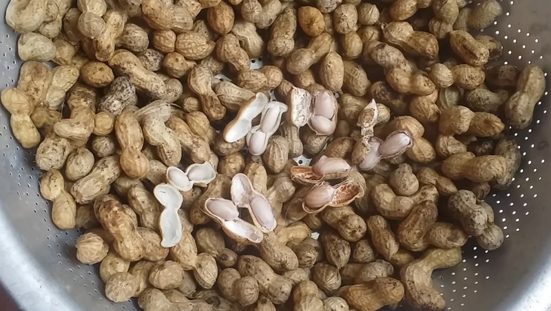 ăn lạc luộc có béo không 4