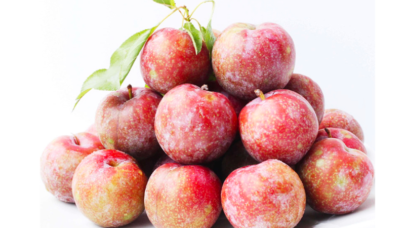 Thực tế, vỏ mận chứa nhiều chất xơ, vitamin và chất chống oxy hóa có lợi cho cơ thể