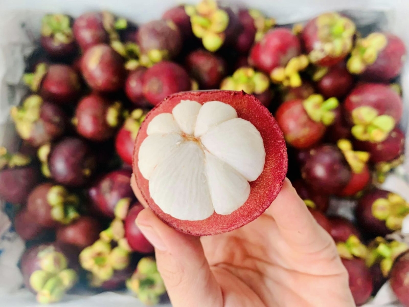 ăn măng cụt có tốt không 1