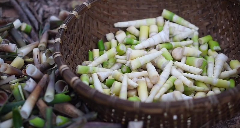 Ăn măng đau dạ dày không? Đối tượng nào không nên ăn?