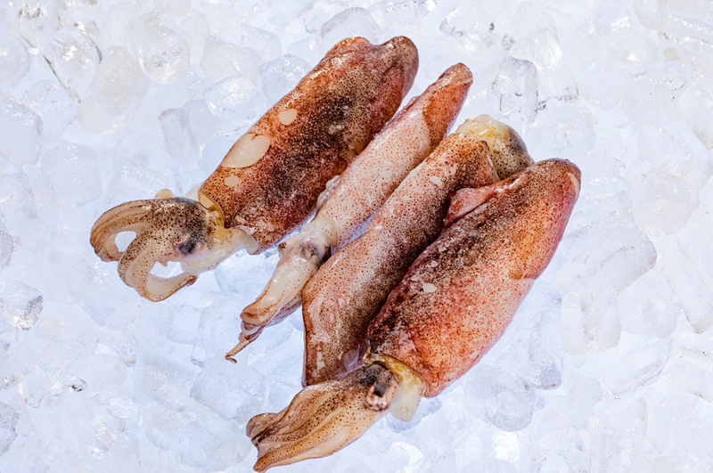 Giải đáp thắc mắc: Ăn mực có béo không? Bật mí cách chế biến thực đơn giảm cân với mực 1