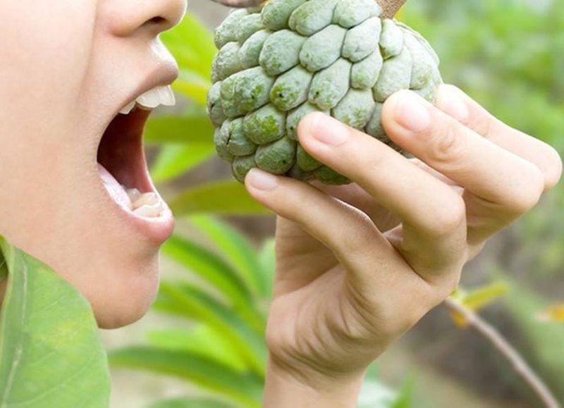 Ăn na có béo không? 1 quả na bao nhiêu calo 1