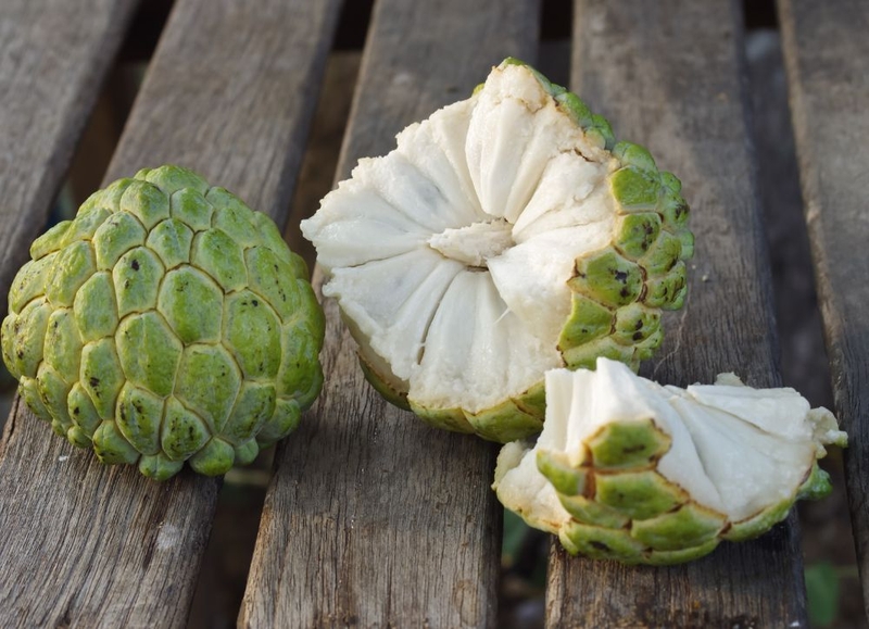 Ăn na có béo không? 1 quả na bao nhiêu calo 3