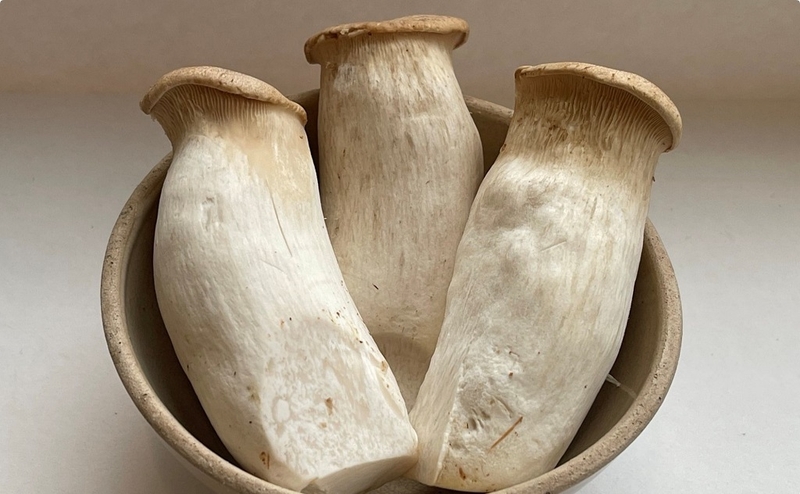 Ăn nấm có tốt không? Lợi ích dinh dưỡng của việc ăn nấm 1