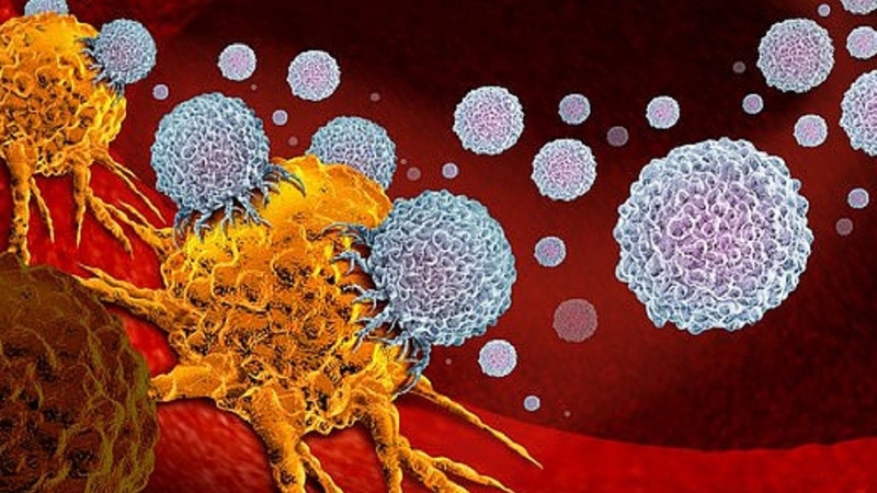 Ăn nem chua có tốt không? Ai không nên ăn nem chua?  3