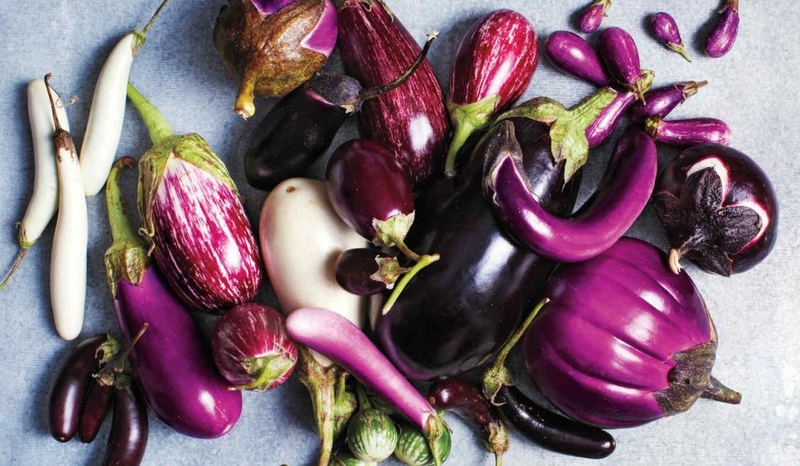 Cà tím có giúp giảm cân không và đây là câu trả lời