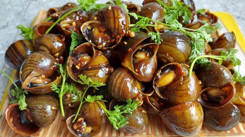 Ăn ốc có bị sẹo lồi không? Nên dùng thực phẩm gì khi bị sẹo lồi 3