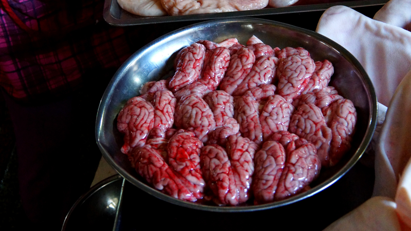 Ăn óc động vật có tốt không? Không nên ăn quá nhiều óc động vật bởi tiêu thụ quá mức sẽ gây hại cho sức khỏe