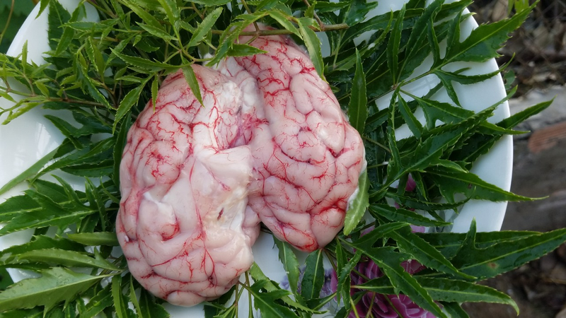 Ăn óc heo có tốt không? Cần lưu ý gì khi ăn?2