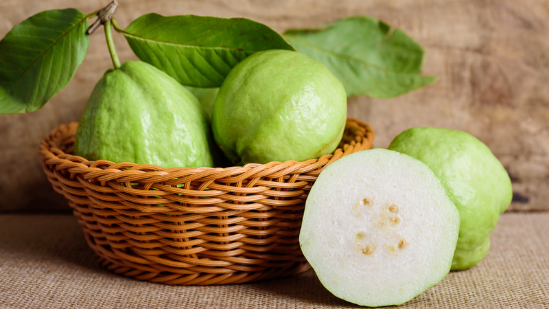 Ăn ổi có tăng chiều cao không? Cách ăn ổi tốt cho sự phát triển thể chất 1