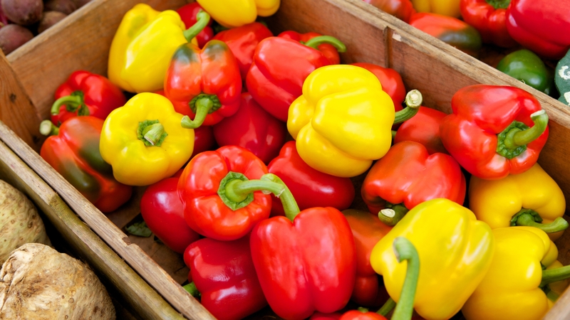 Ăn ớt chuông sống có tốt không? Một số lưu ý khi ăn ớt chuông sống 1