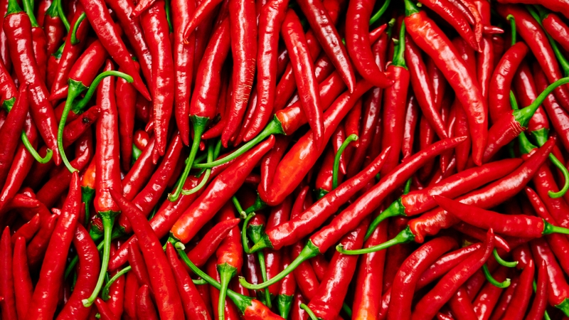 Quả ớt nổi bật nhờ hương vị cay nồng đặc trưng và màu sắc rực rỡ từ xanh, vàng, cam đến đỏ khi chín