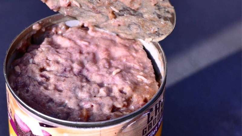 Ăn phải thực phẩm có giòi tiềm ẩn nguy cơ ngộ độc