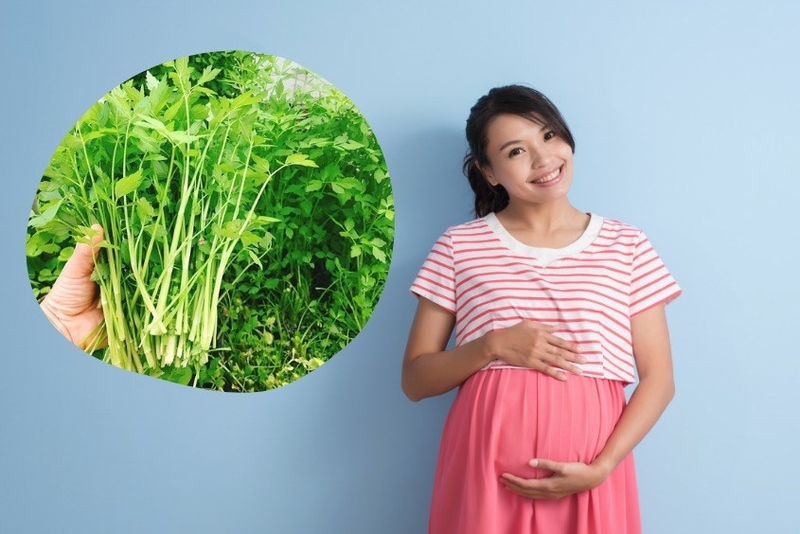 Ăn rau cần tây có tác dụng gì? 4