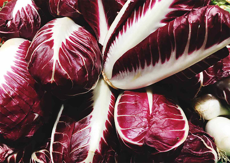 Ăn rau diếp xoăn Radicchio có tác dụng gì? 1