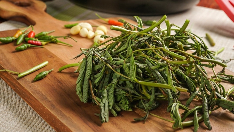 Ăn rau nhút có bị mất sữa không? Tác dụng đặc biệt của rau nhút 2