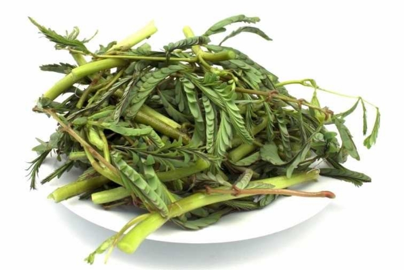 Ăn rau nhút có bị mất sữa không? Tác dụng đặc biệt của rau nhút 2