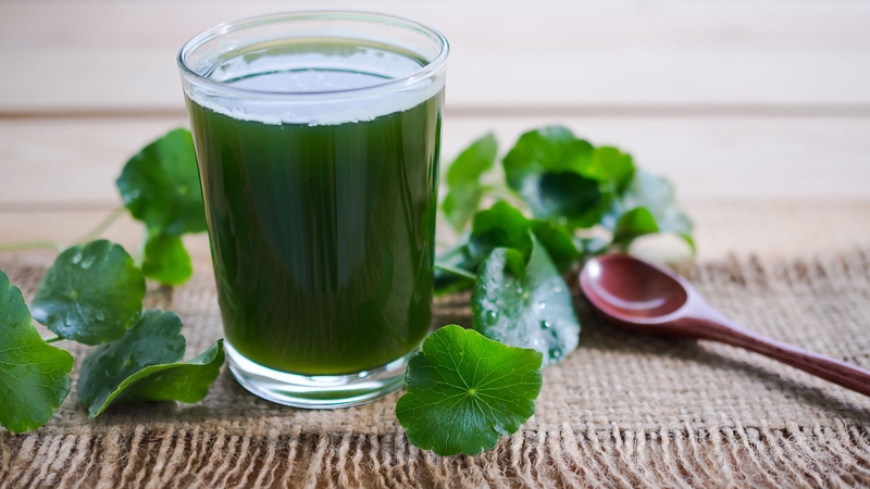 Sau sinh ăn rau răm có mất sữa không? Một số vị thuốc lợi sữa cho mẹ 4