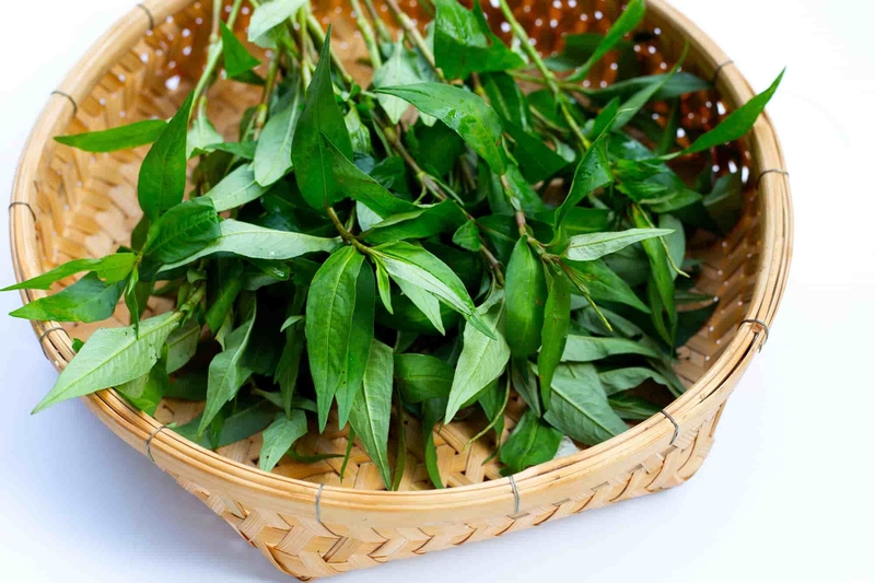 Ăn rau răm có tốt không? Những lợi ích khi ăn rau răm đúng cách 4