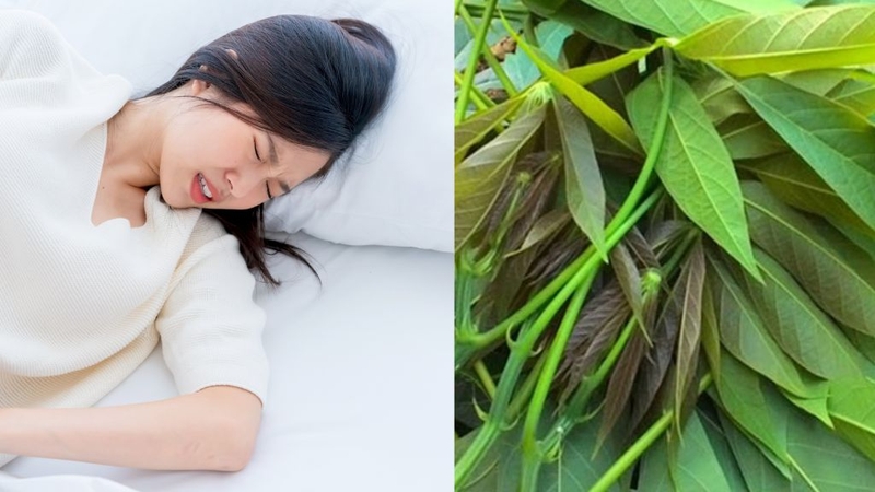 Ăn rau sắn và những điều cần biết 3