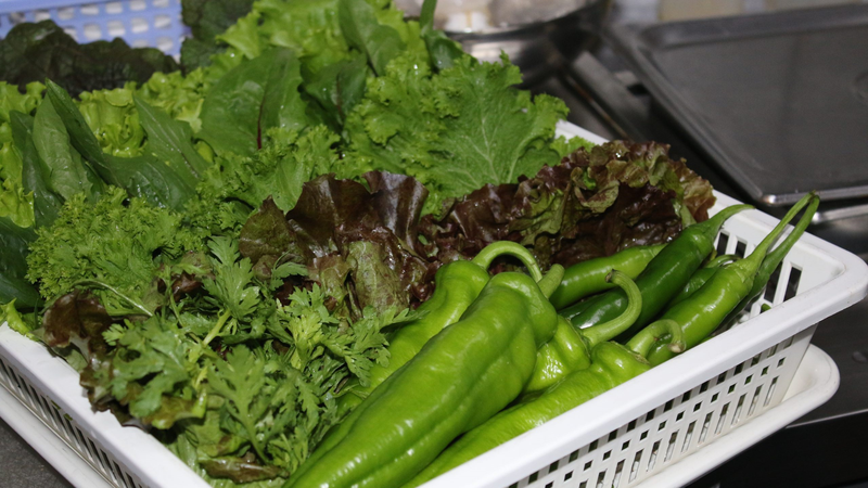 Ăn rau sống có tốt không? Các loại rau có thể ăn sống được 1