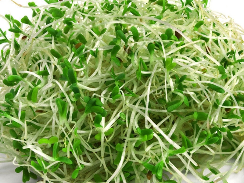 Ăn rau sống có tốt không? Các loại rau có thể ăn sống được 3