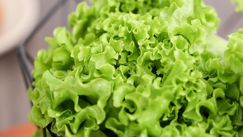 Ăn rau xà lách có tác dụng gì cho sức khỏe con người 2