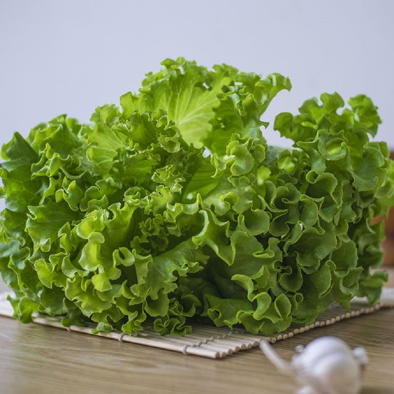 Ăn rau xà lách có tác dụng gì cho sức khỏe con người 1