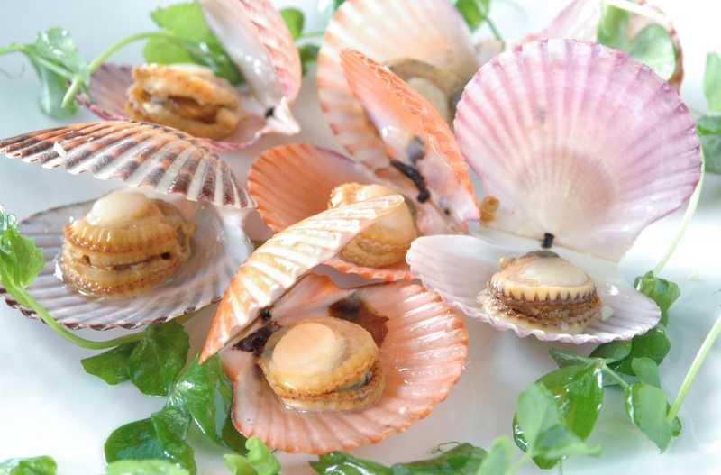 Giải đáp thắc mắc: Ăn sò điệp có giúp kiểm soát cholesterol không 3