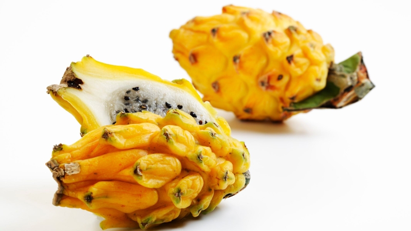 Ăn thanh long vàng có tốt không? Lời giải đáp từ chuyên gia dinh dưỡng 2