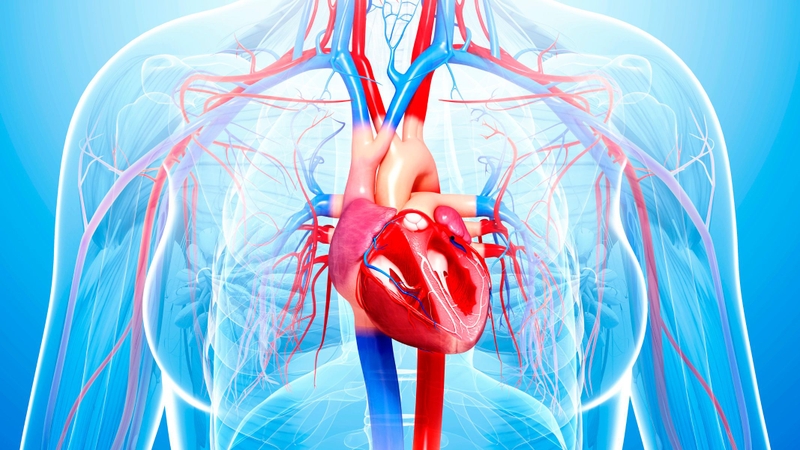 Ăn thanh long vàng có tốt không? Lời giải đáp từ chuyên gia dinh dưỡng 4