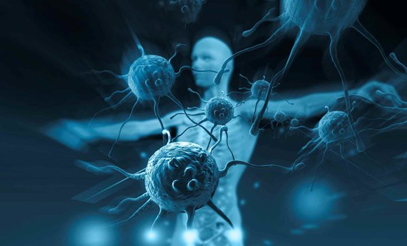 Ăn thô thải độc để thanh lọc cơ thể hiệu quả! 2