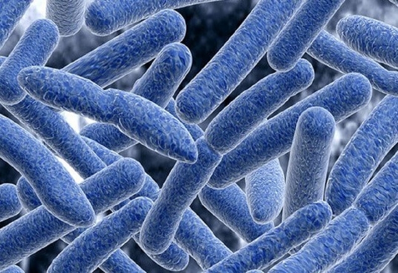 Ăn thực phẩm đóng hộp có tốt không? 3