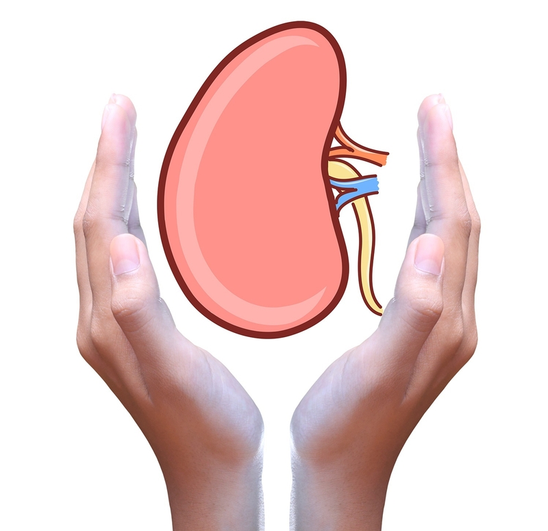 ấn thủy vương Kingphar-03